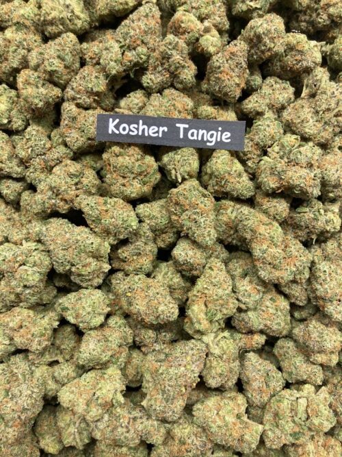 Kosher Tangie