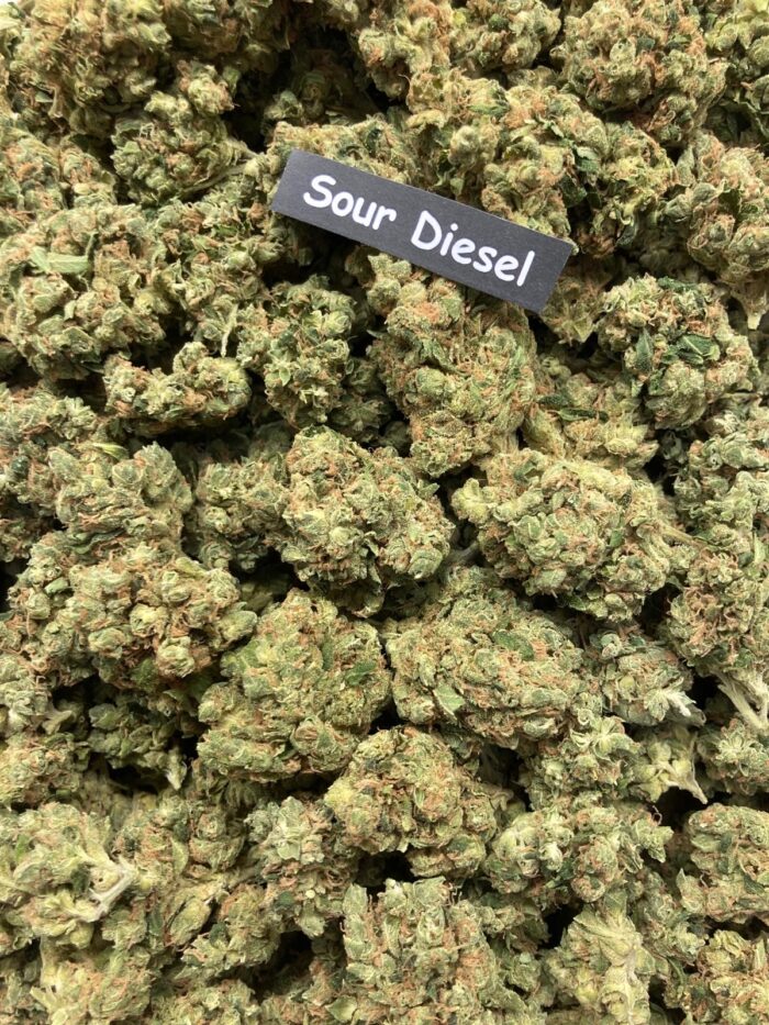 sour diesel 2
