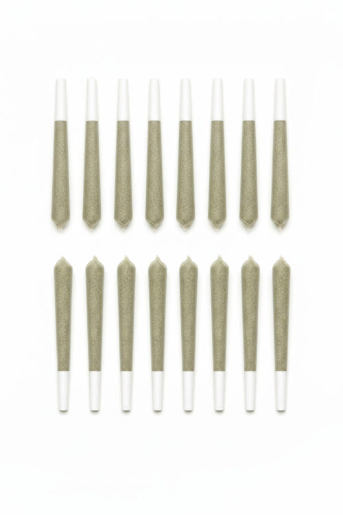 Mary Jane Infused Preroll 16-pack