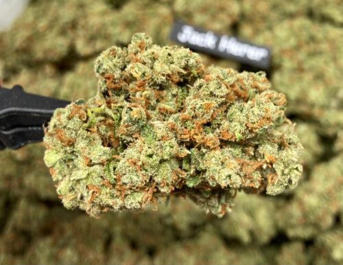 Candy Jack