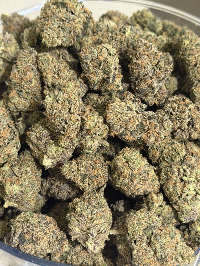 exclusive flower_2992
