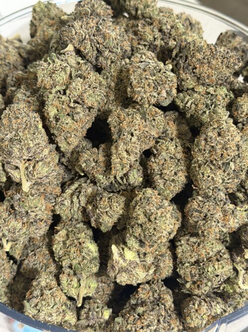 Exclusive Gelo Belts 3.5gram