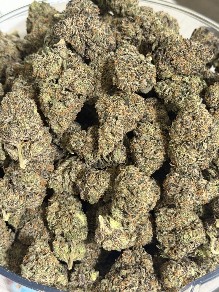 exclusive flower_2995