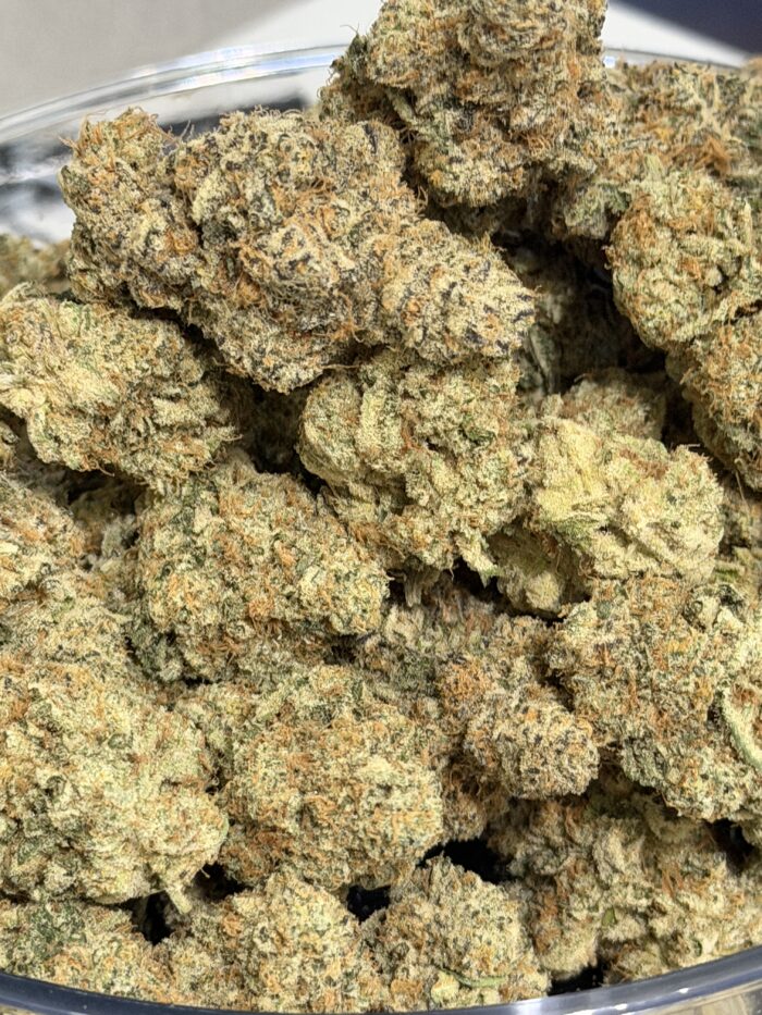 exclusive flower_3001