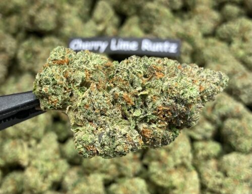 Cherry Lime Runtz
