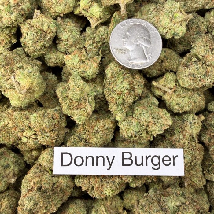 donny burger