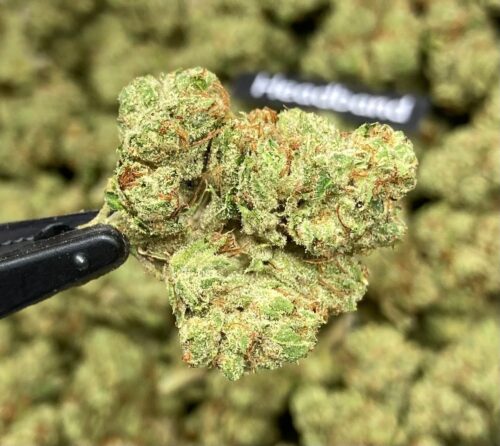 Headband