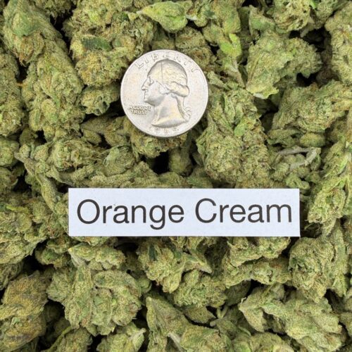 Orange Cream